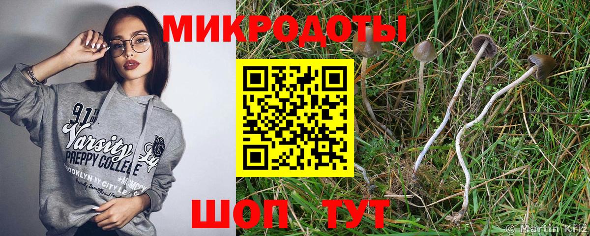 Нальчик  Псилоцибиновые грибы Psilocybe  Вход с VPN  Псилоцибиновые грибы Psilocybe 